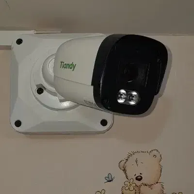 سیستم حفاظتی امنیتی|دوربین مداربسته|گنبد کاووس, |دیوار