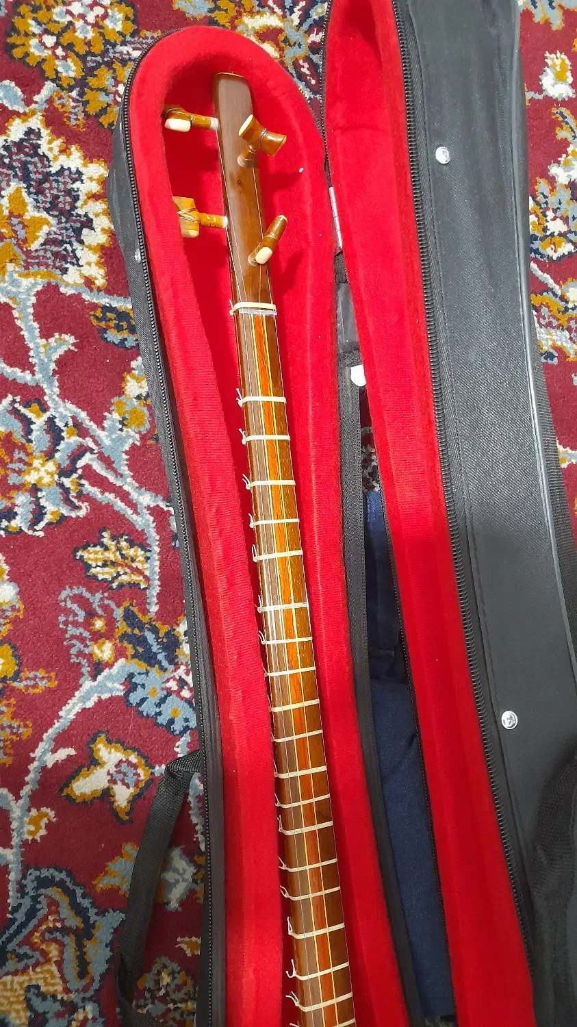 سه تار ترکه ای زه دار|سازهای سنتی|کرمان, |دیوار