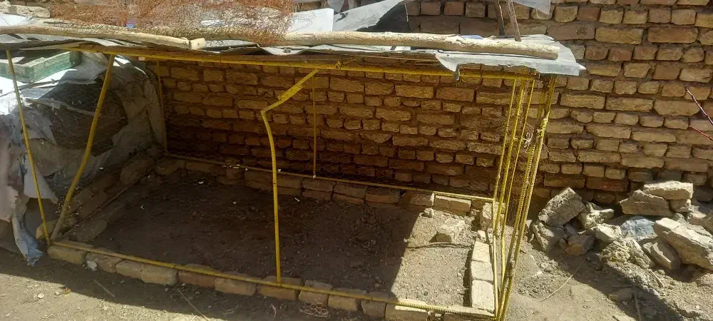 قفس کبوتر|لوازم جانبی حیوانات|چادگان, |دیوار