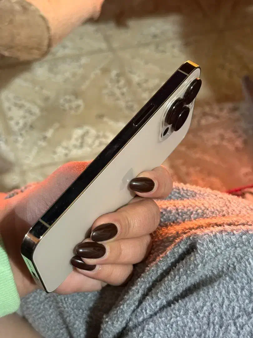 آیفون ۱۳ پرو|موبایل|اصفهان, کوی ولی عصر|دیوار