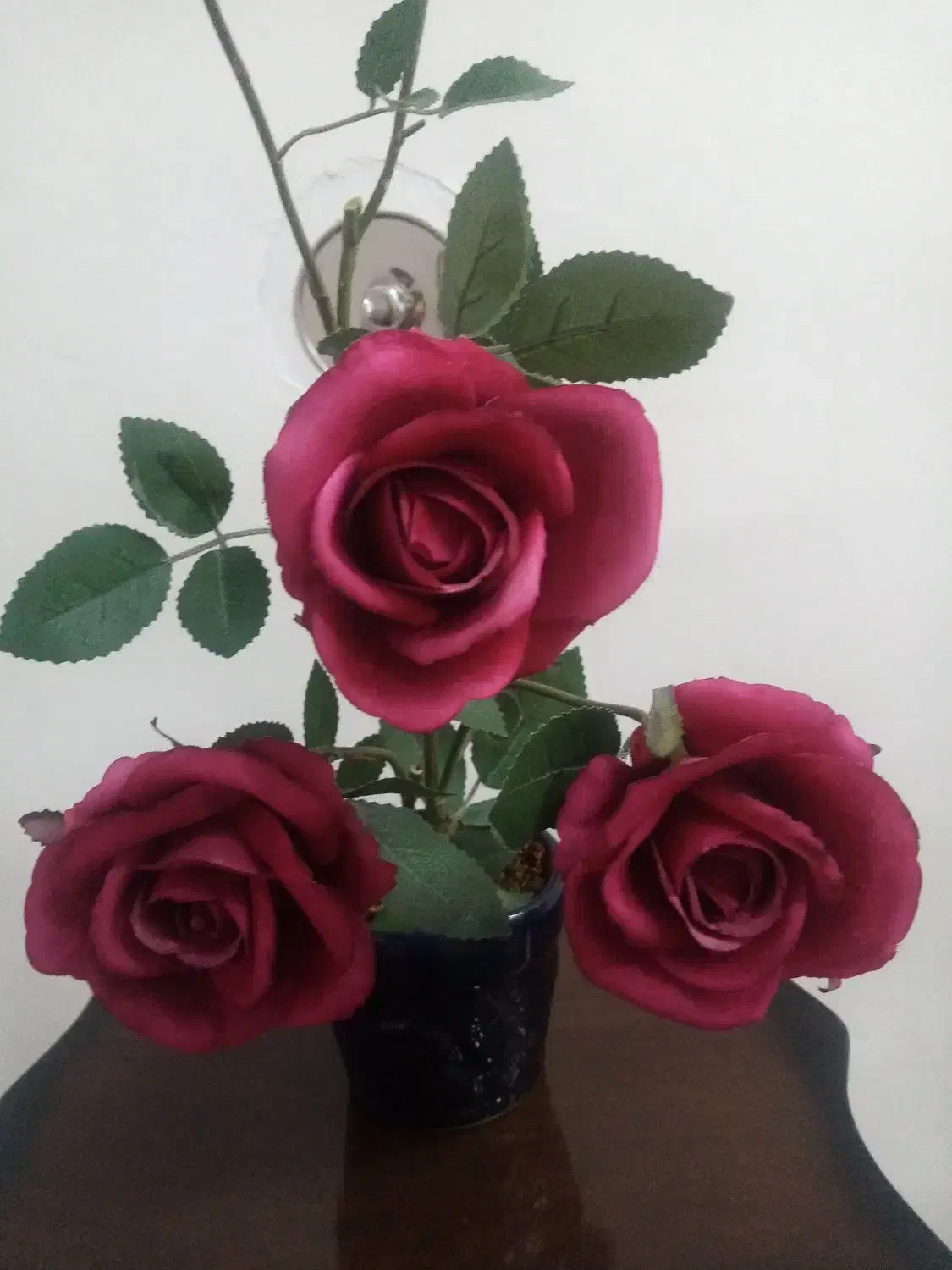 گلدان گل مخمل|گل مصنوعی|کرمانشاه, |دیوار