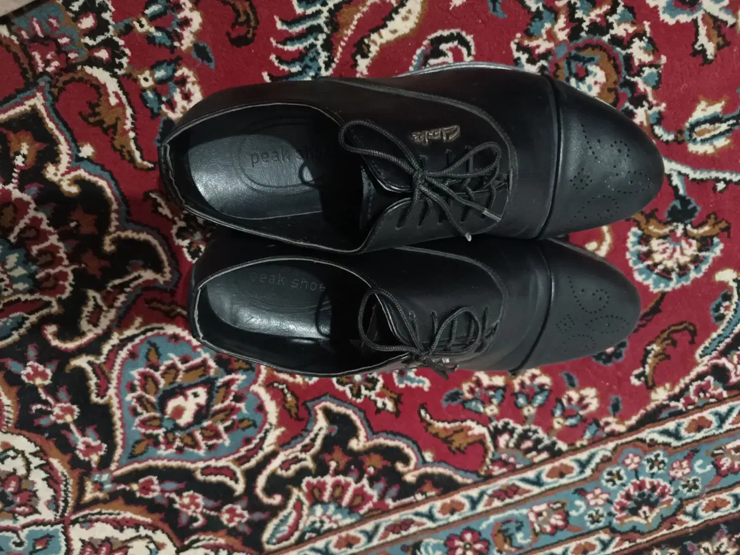 کفش نو|کیف، کفش، کمربند|کرمانشاه, |دیوار