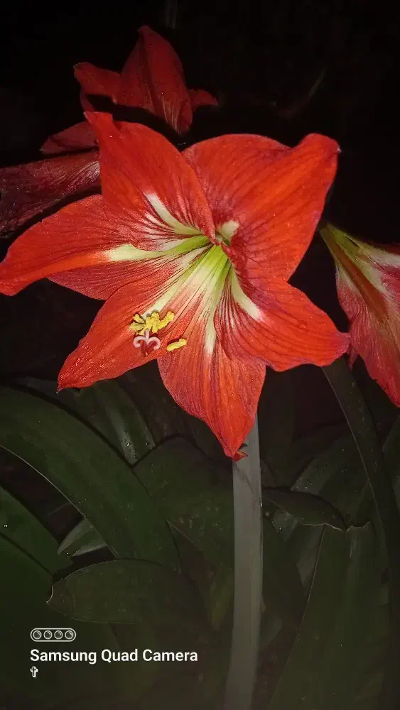 مرکز آموزشی و پژوهشی کار آنلاین|استخدام آموزشی|انبارآلوم, |دیوار