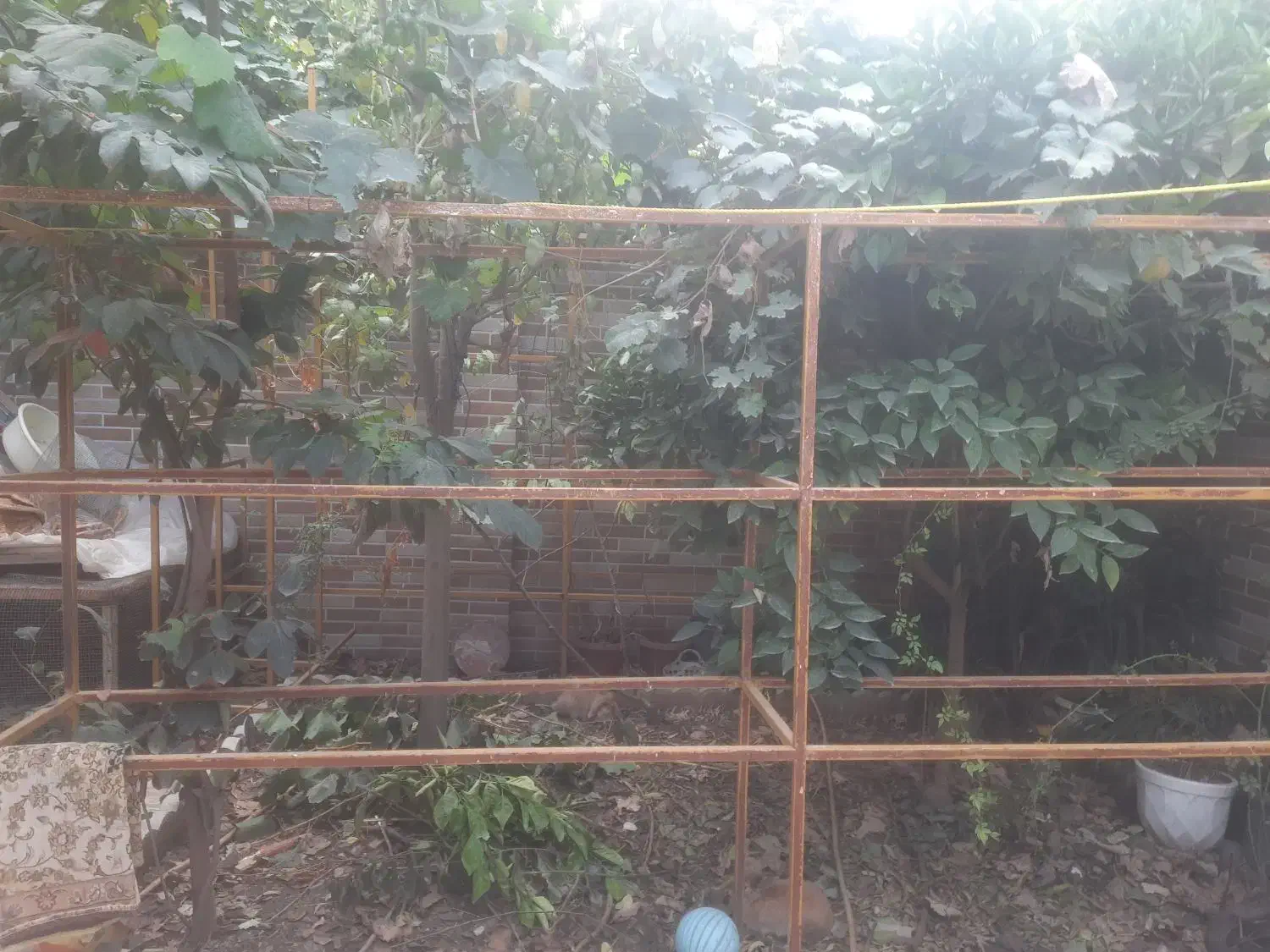 قفسه مغازه چهارعدد قوطی۲/۵*۲/۵تخفیف دارد|فروشگاه و مغازه|مینودشت, |دیوار