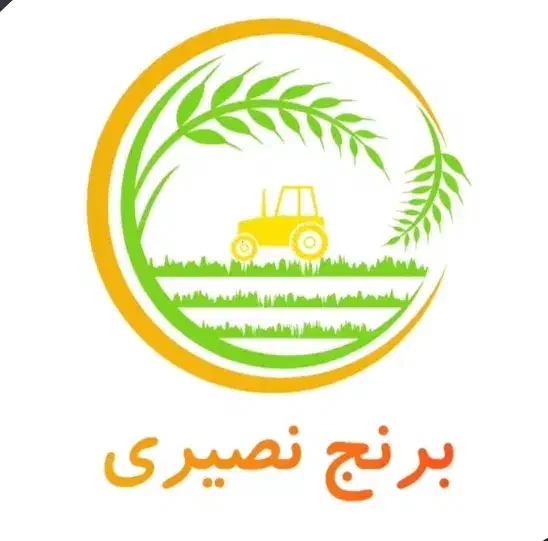 برنج درجه یک شمال|خوردنی و آشامیدنی|کرمان, |دیوار