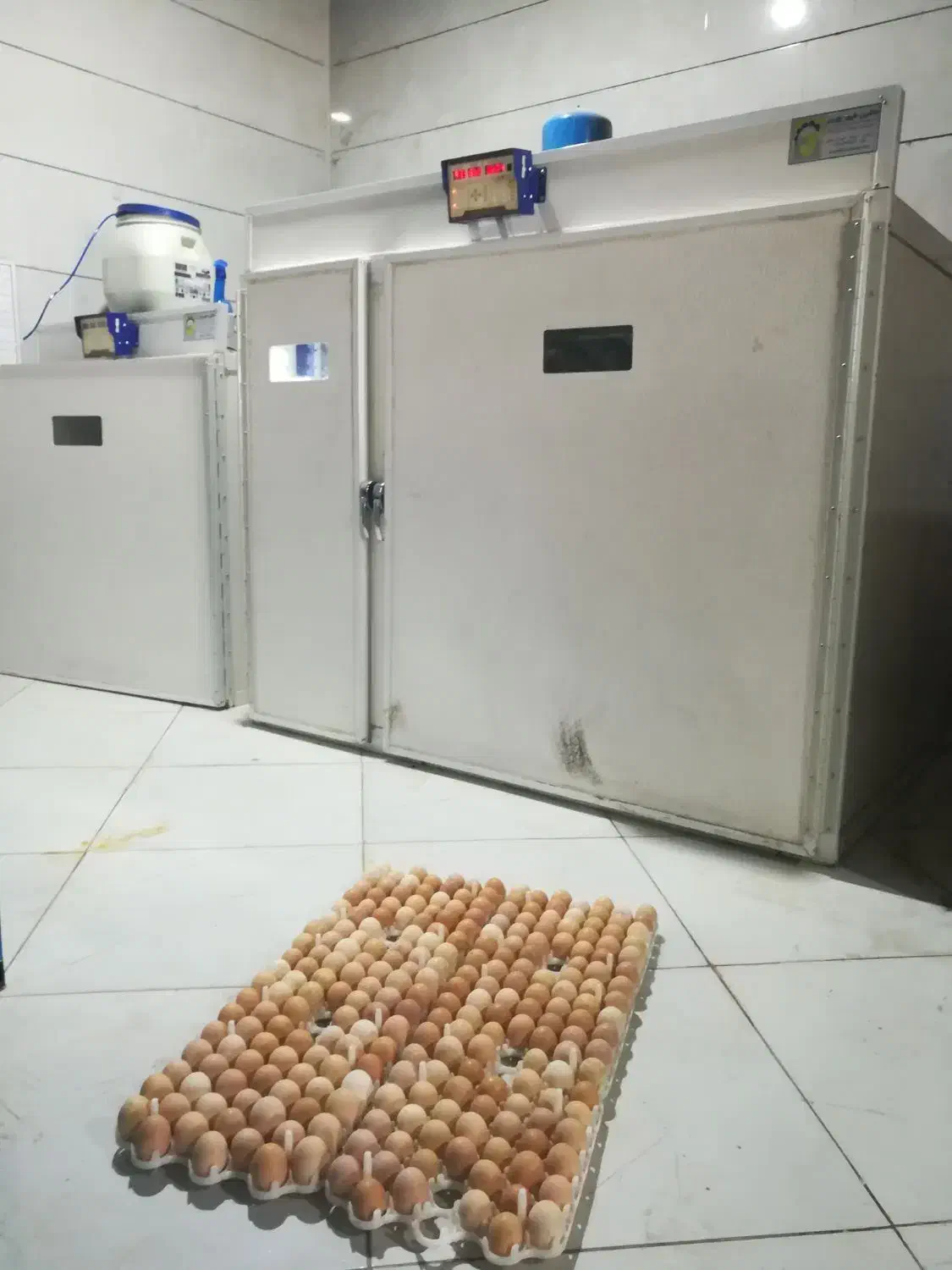 دستگاه جوجه کشی ماشین طیور جوجه مرغ بلدرچین|لوازم جانبی حیوانات|مشهد, حرم مطهر رضوی|دیوار