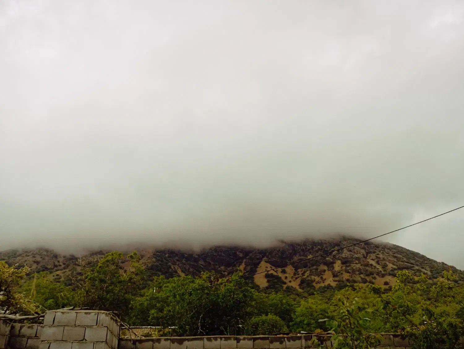 بره سبک|حیوانات مزرعه|یاسوج, |دیوار