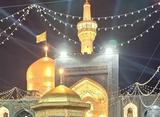 نیازمندی|فعالیت داوطلبانه تحقیقاتی|یزد, |دیوار