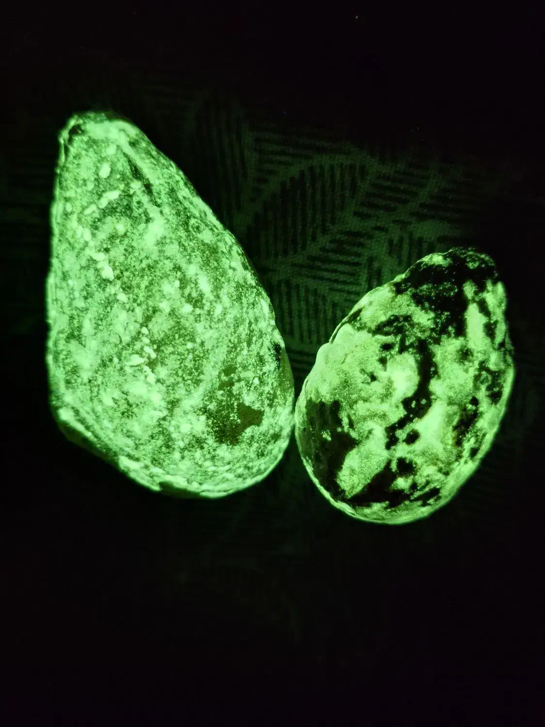 شب نما|کلکسیون و سرگرمی|هشتگرد, شهرک ولیعصر (مصلی)|دیوار