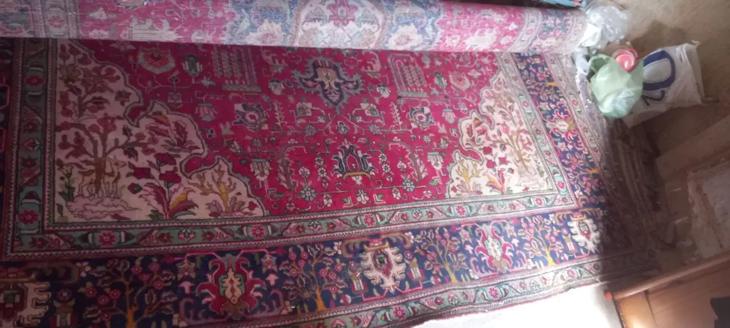 فرش|فرش|اسفراین, |دیوار