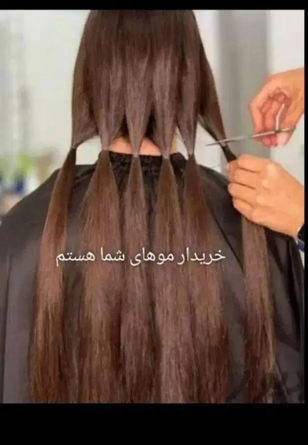 خریدار اصلی مو طبیعی|خدمات آرایشگری و زیبایی|مرودشت, استادیوم|دیوار