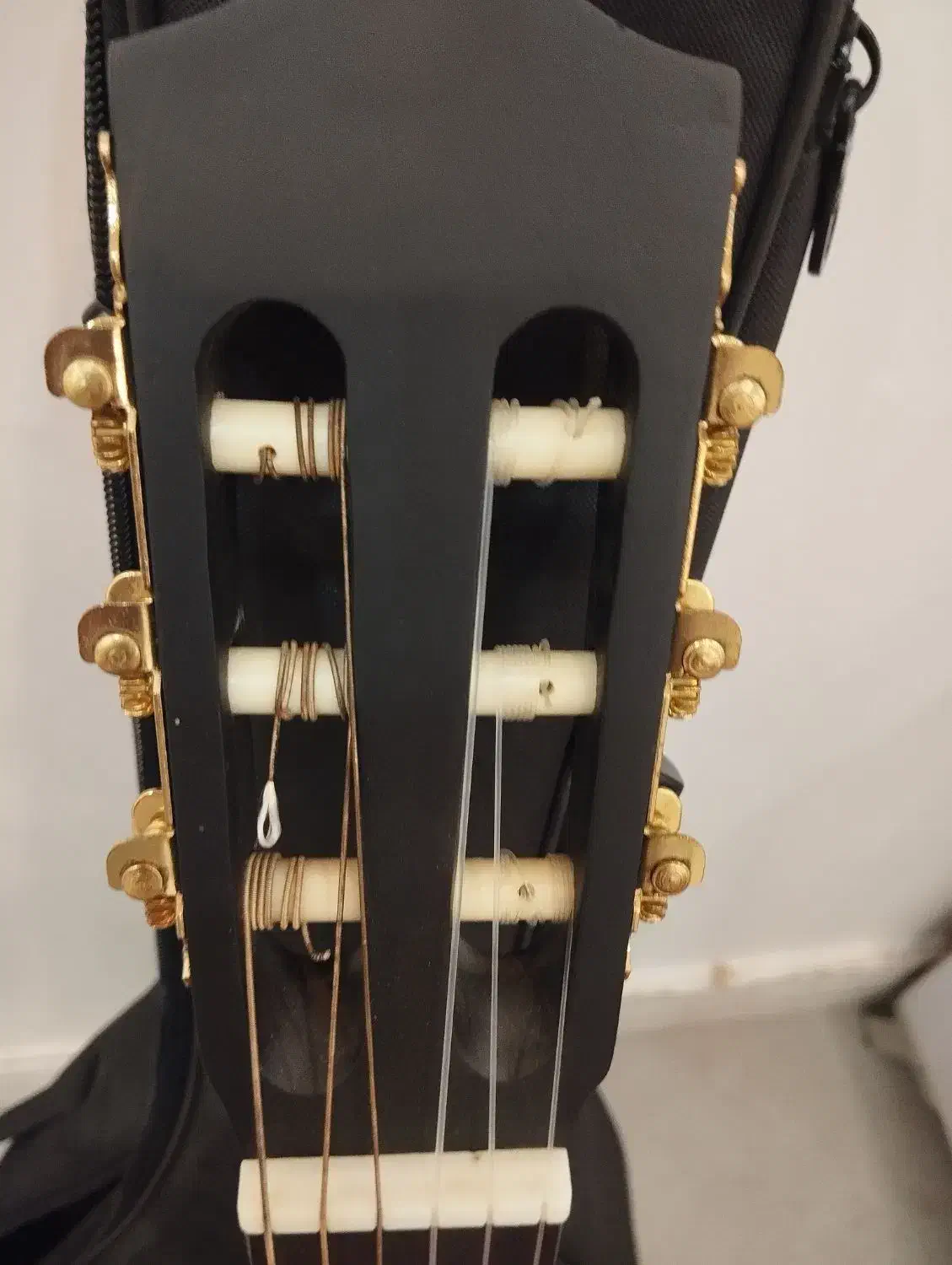 گیتار کلاسیک پارسی|گیتار، بیس، امپلیفایر|آبادان, |دیوار