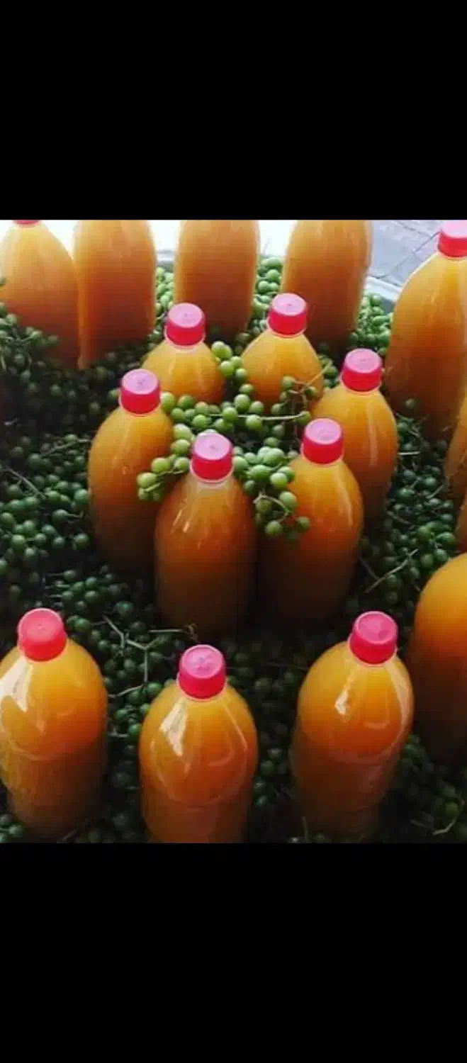 شیره انگور،آبغوره،خیار شور|خوردنی و آشامیدنی|کیش, |دیوار