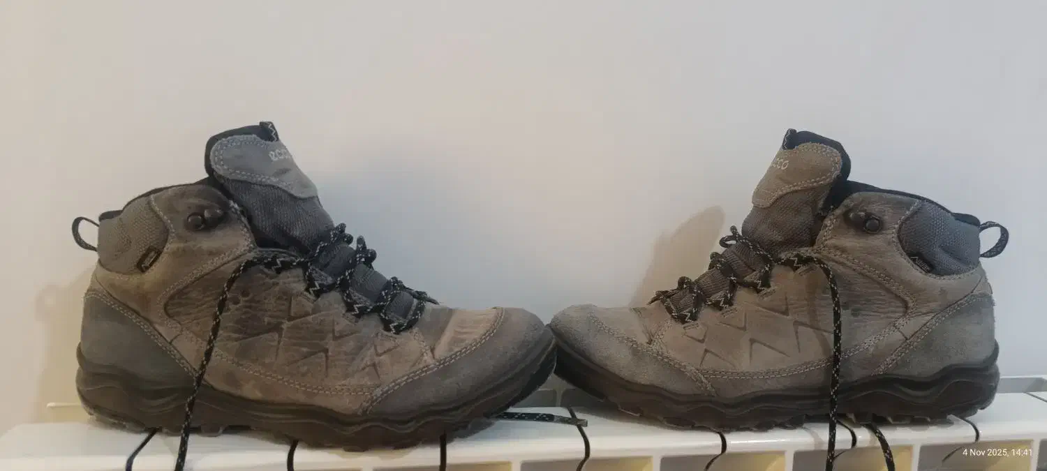 کفش اورجینال اکو تایلند|کیف، کفش، کمربند|یاسوج, |دیوار