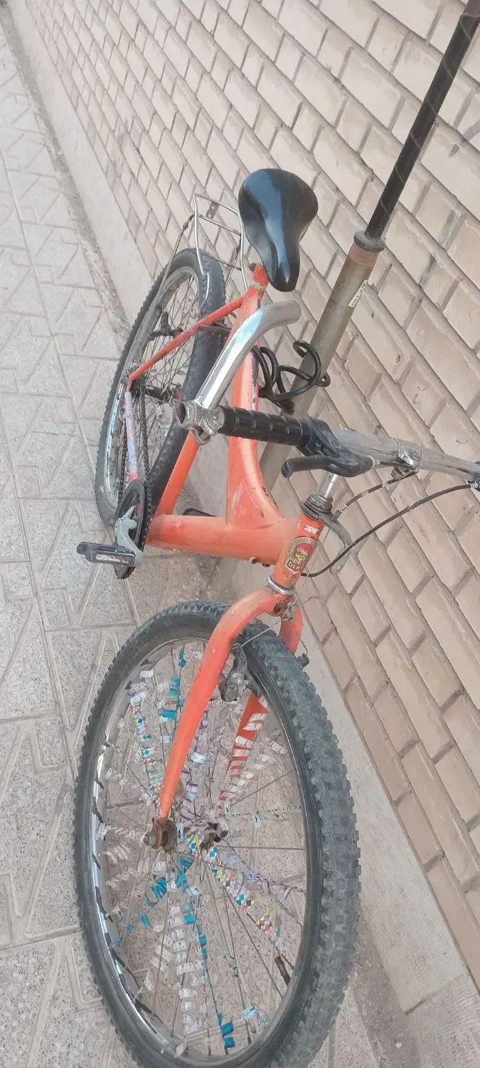 فروش دوچرخه|دوچرخه، اسکیت، اسکوتر|قم, بوستان علوی|دیوار