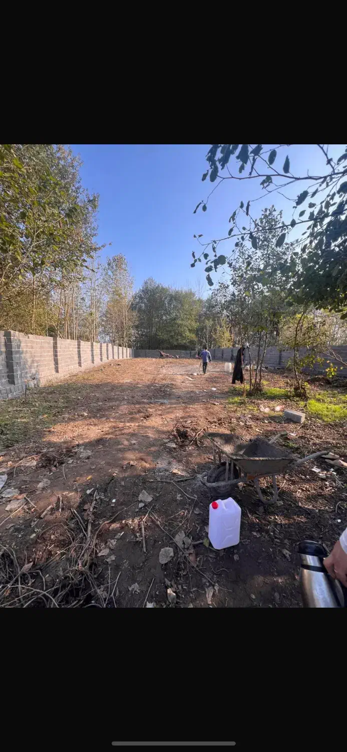 زمین در سیاهکل|فروش زمین و ملک کلنگی|سیاهکل, |دیوار