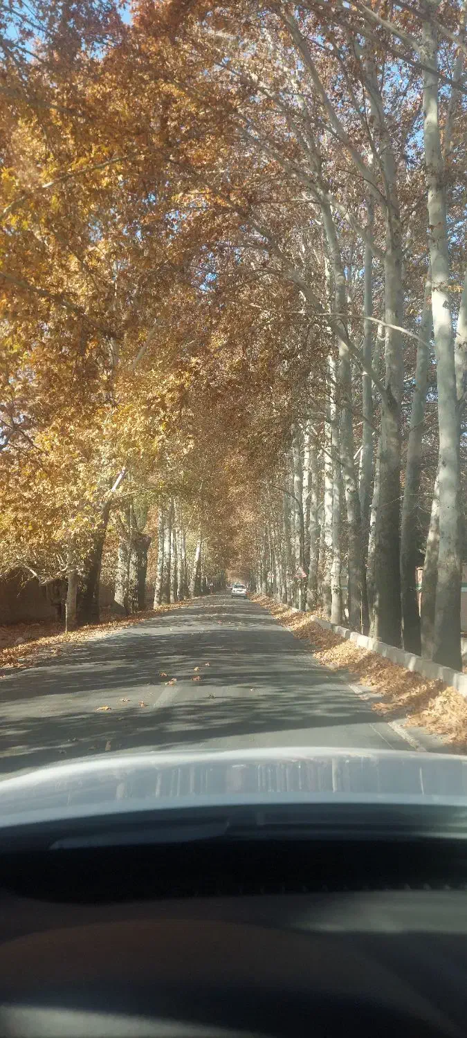 ۹۰۰مترکاسبی.کردان/تهراندشت/سرخاب|فروش خانه و ویلا|هشتگرد, تهران دشت|دیوار