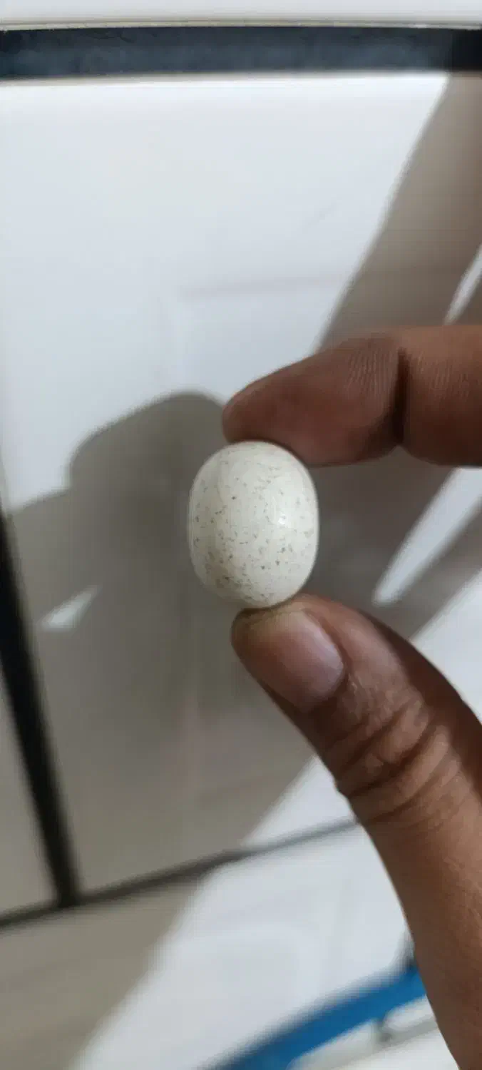 سنگ آسیاب|جواهرات|خمینیشهر, |دیوار