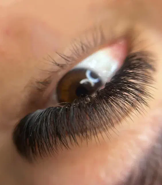 40% تخفیف ویژه  آموزش اکستنشن مژه و لیفتینگ|خدمات آموزشی|پاکدشت, پاکدشت (مامازند)|دیوار