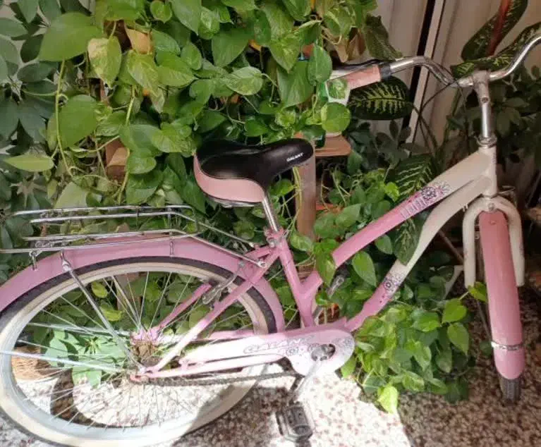 دوچرخه|دوچرخه، اسکیت، اسکوتر|اصفهان, لیمجیر|دیوار