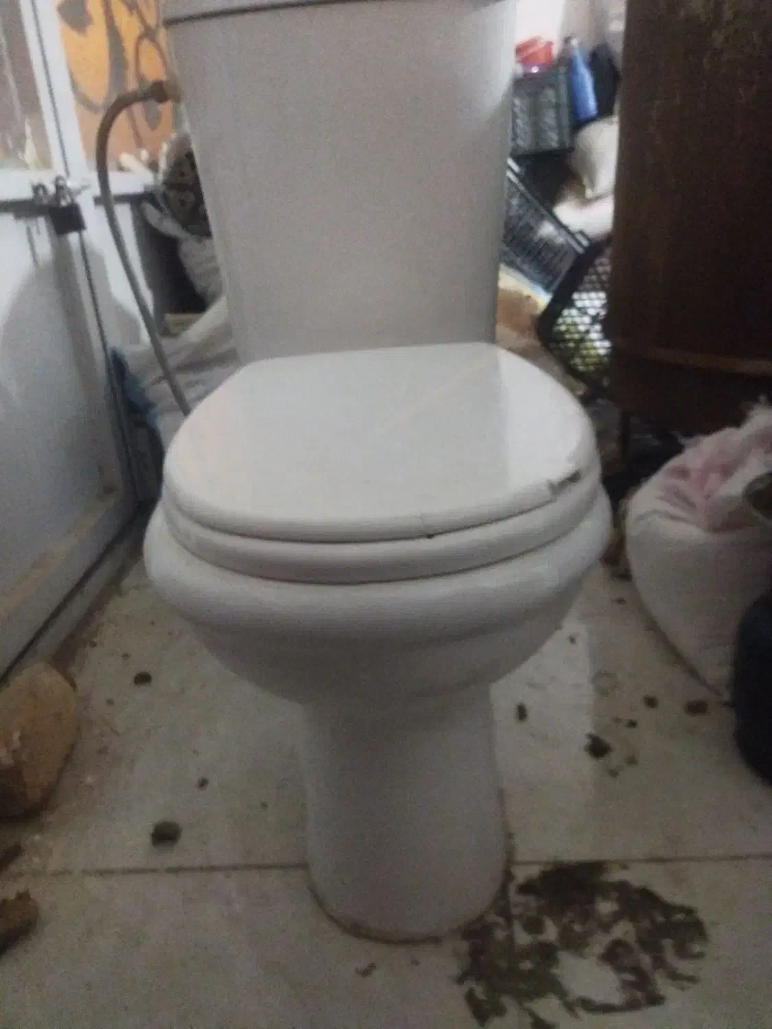 توالت فرنگی|لوازم سرویس بهداشتی|بیرجند, |دیوار