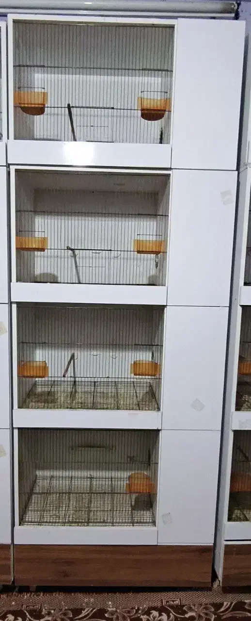 قفس اروپایی|لوازم جانبی حیوانات|مشهد, سمزقند|دیوار