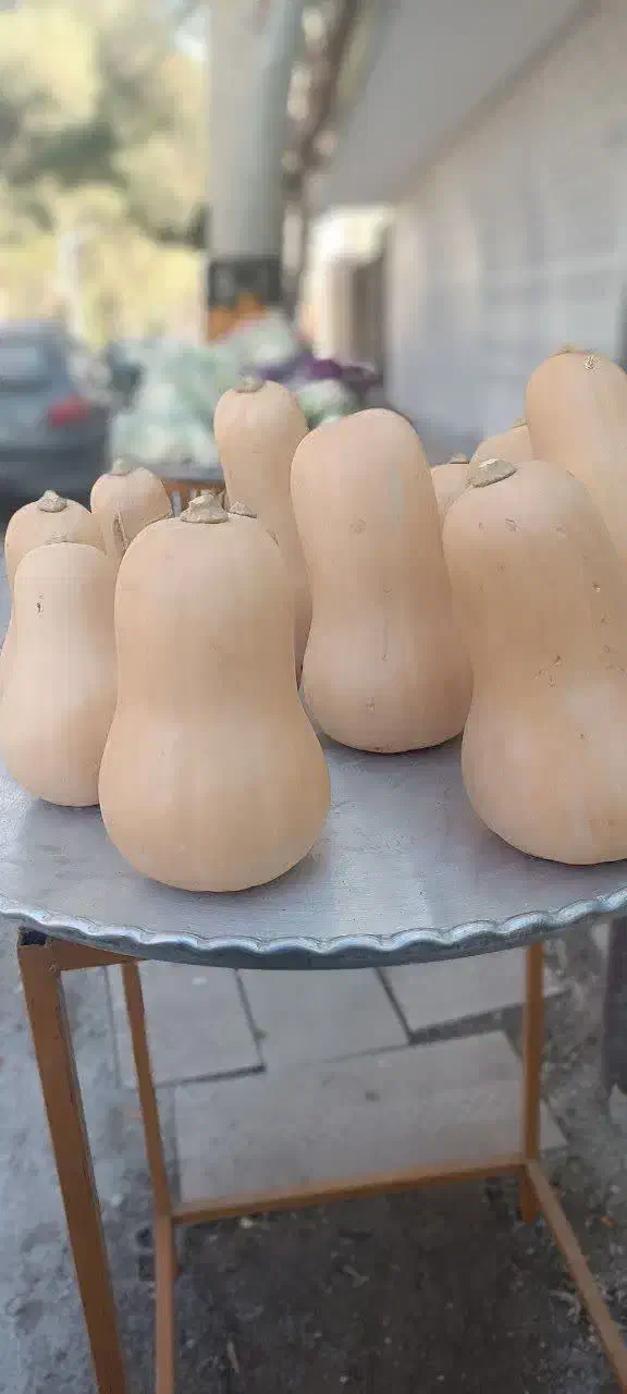 لوازم میوه فروشی|فروشگاه و مغازه|اصفهان, تخت فولاد|دیوار