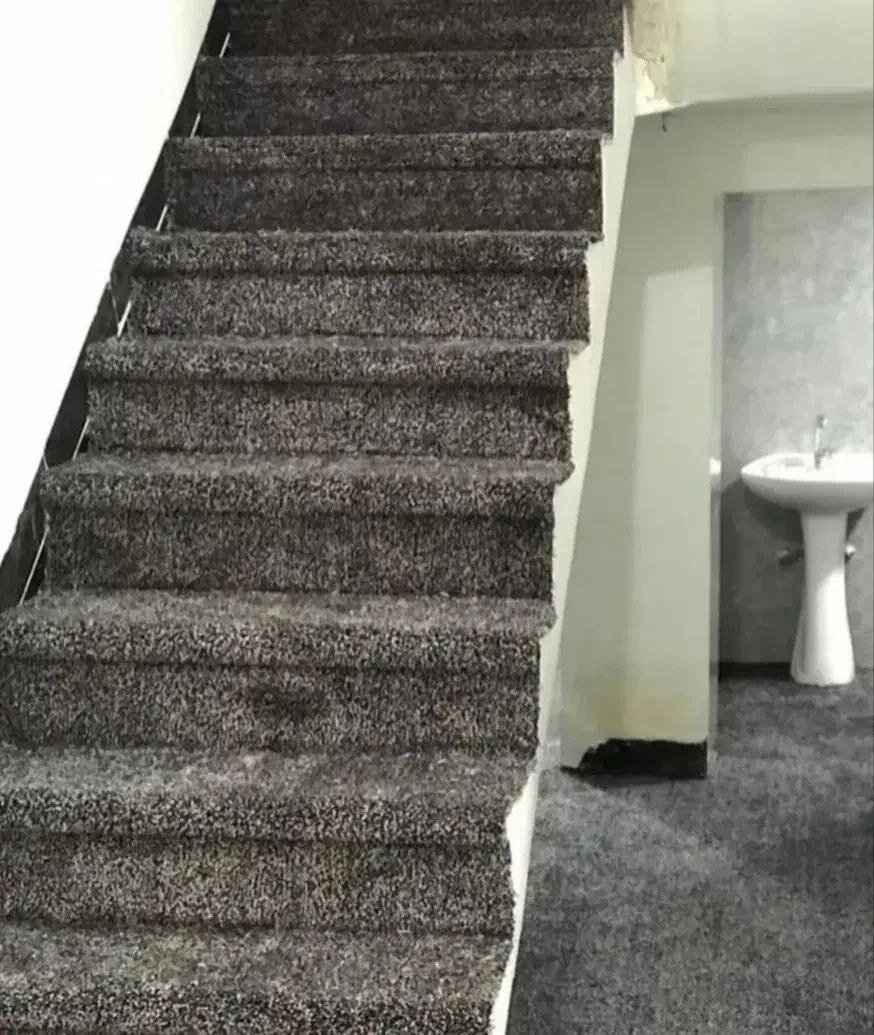 فروش ونصب انواع موکت|موکت|یزد, |دیوار