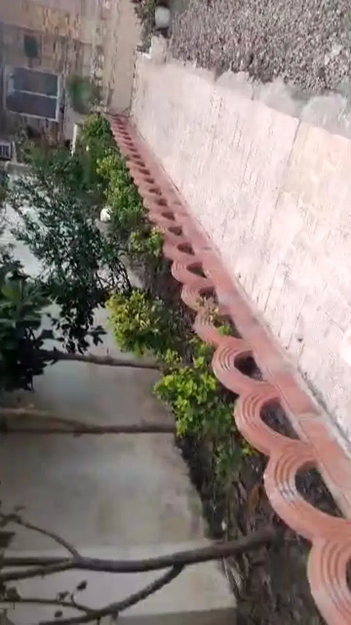 ویلانقلی۱۸۰/mتمیزوشیک سراوان ب فومن لاکان|فروش خانه و ویلا|رشت, دیلمان|دیوار