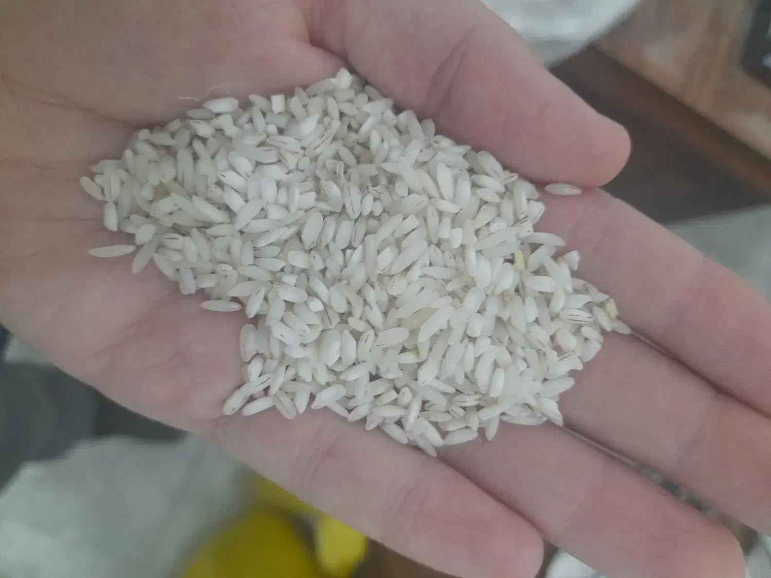 برنج عنبربو به قیمت قدیم شارژ شد|خوردنی و آشامیدنی|کرمانشاه, |دیوار