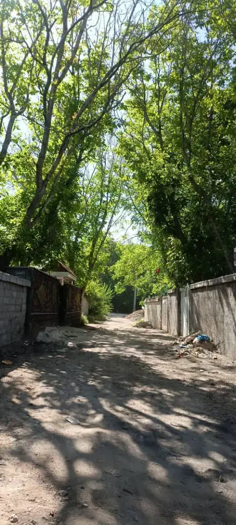 فروش باغچه ۵۵۰متری|فروش زمین و ملک کلنگی|سیدان, |دیوار