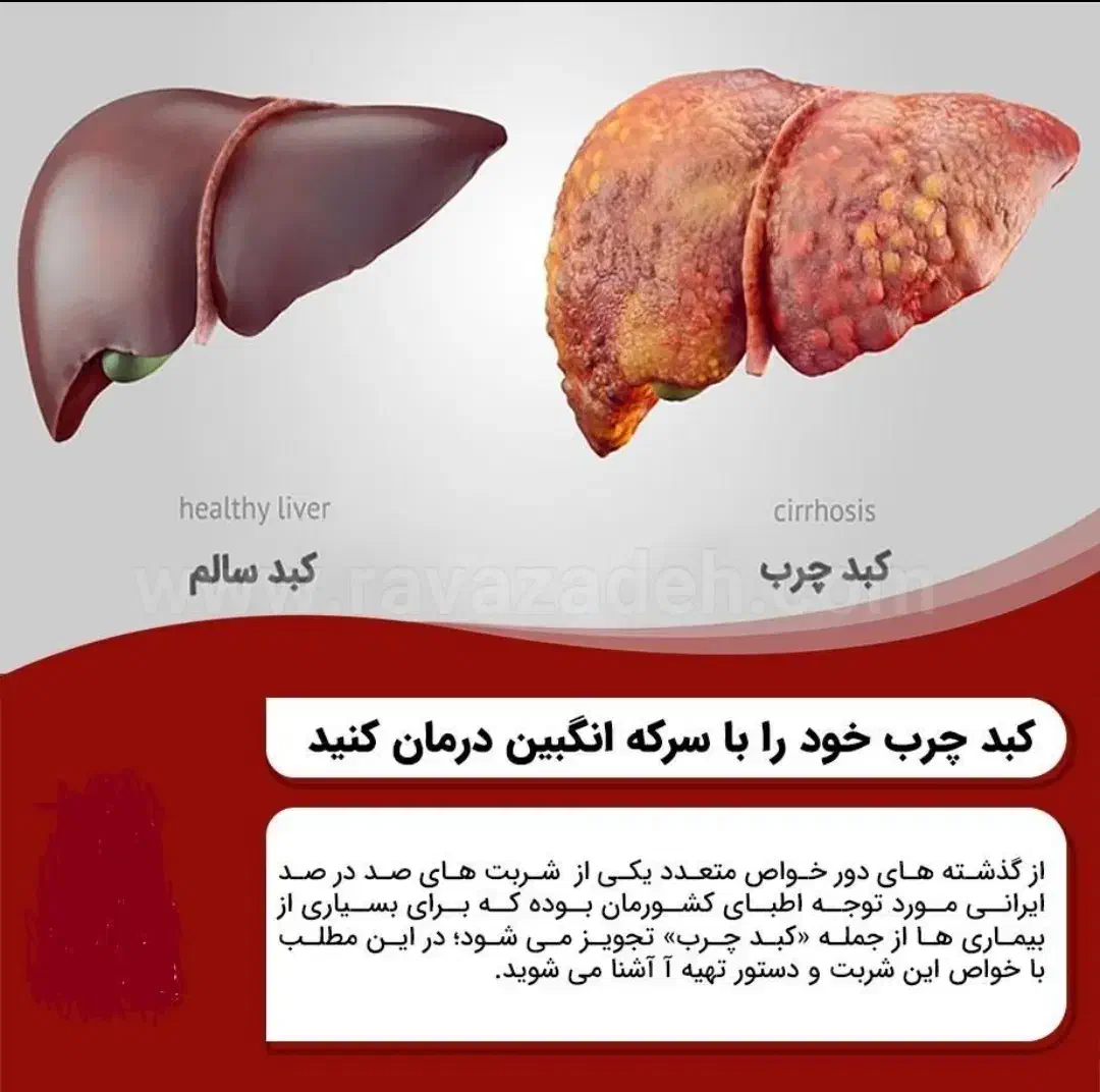 سرکه انگبین(شاه دارو)|خوردنی و آشامیدنی|یزد, |دیوار