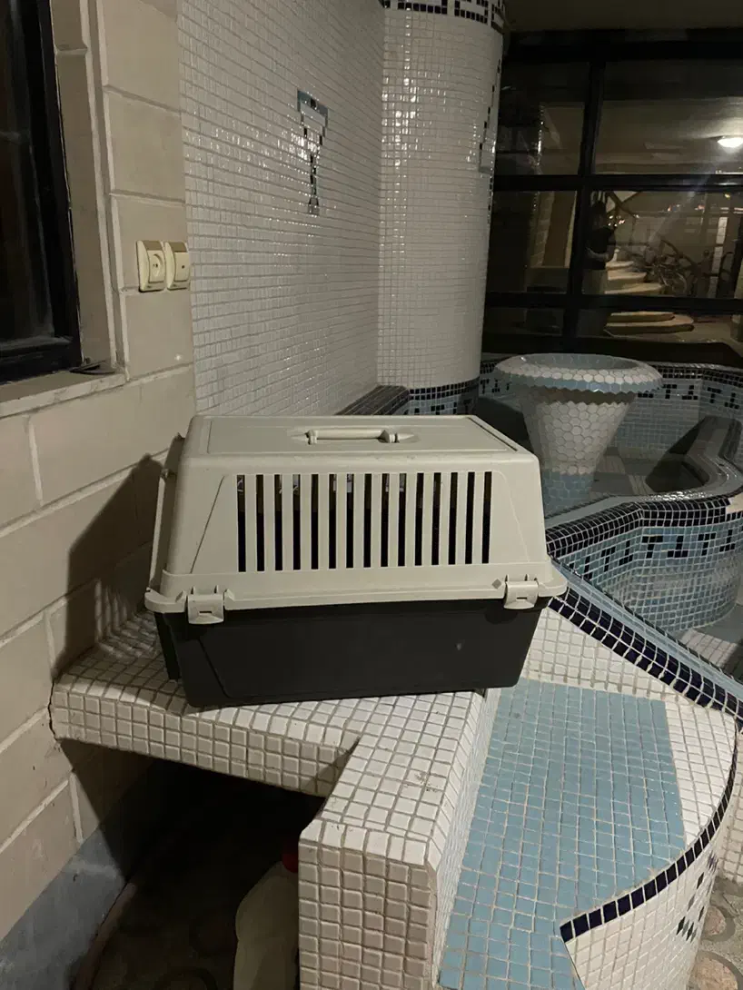 باکس سگ و گربه|لوازم جانبی حیوانات|کرج, فاز ۲ مهرشهر|دیوار