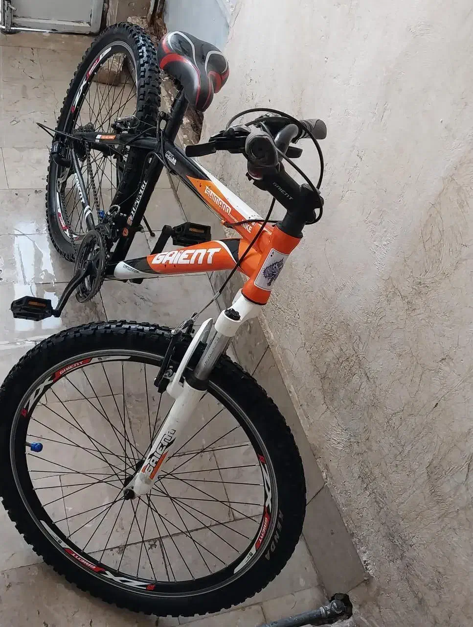 دوچرخه 26|دوچرخه، اسکیت، اسکوتر|شیراز, مسلم|دیوار