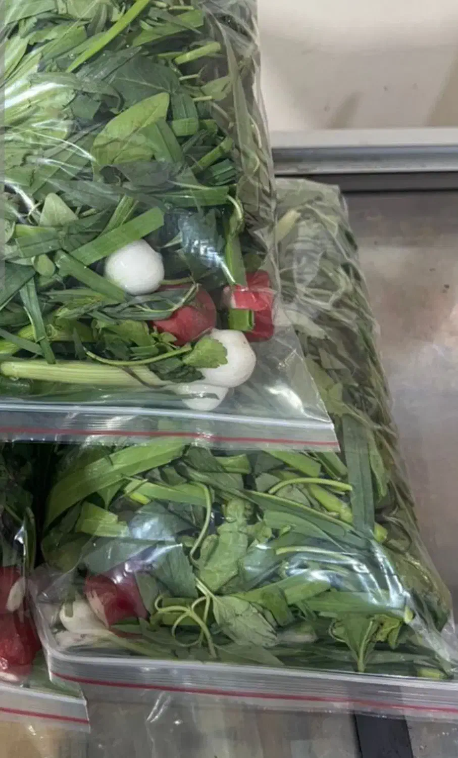 پاک کردن و بسته بندی سبزی|استخدام خدمات فروشگاه و رستوران|گرگان, |دیوار