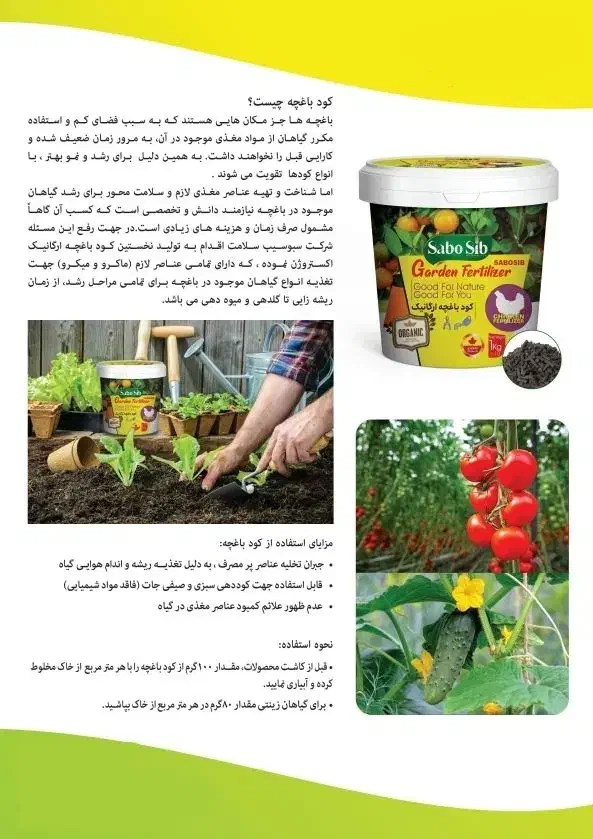 گیاهان آپارتمانی بارشد دوبرابر و شادابی وبا طراوت|گل و گیاه طبیعی|پاکدشت, خاتون آباد|دیوار