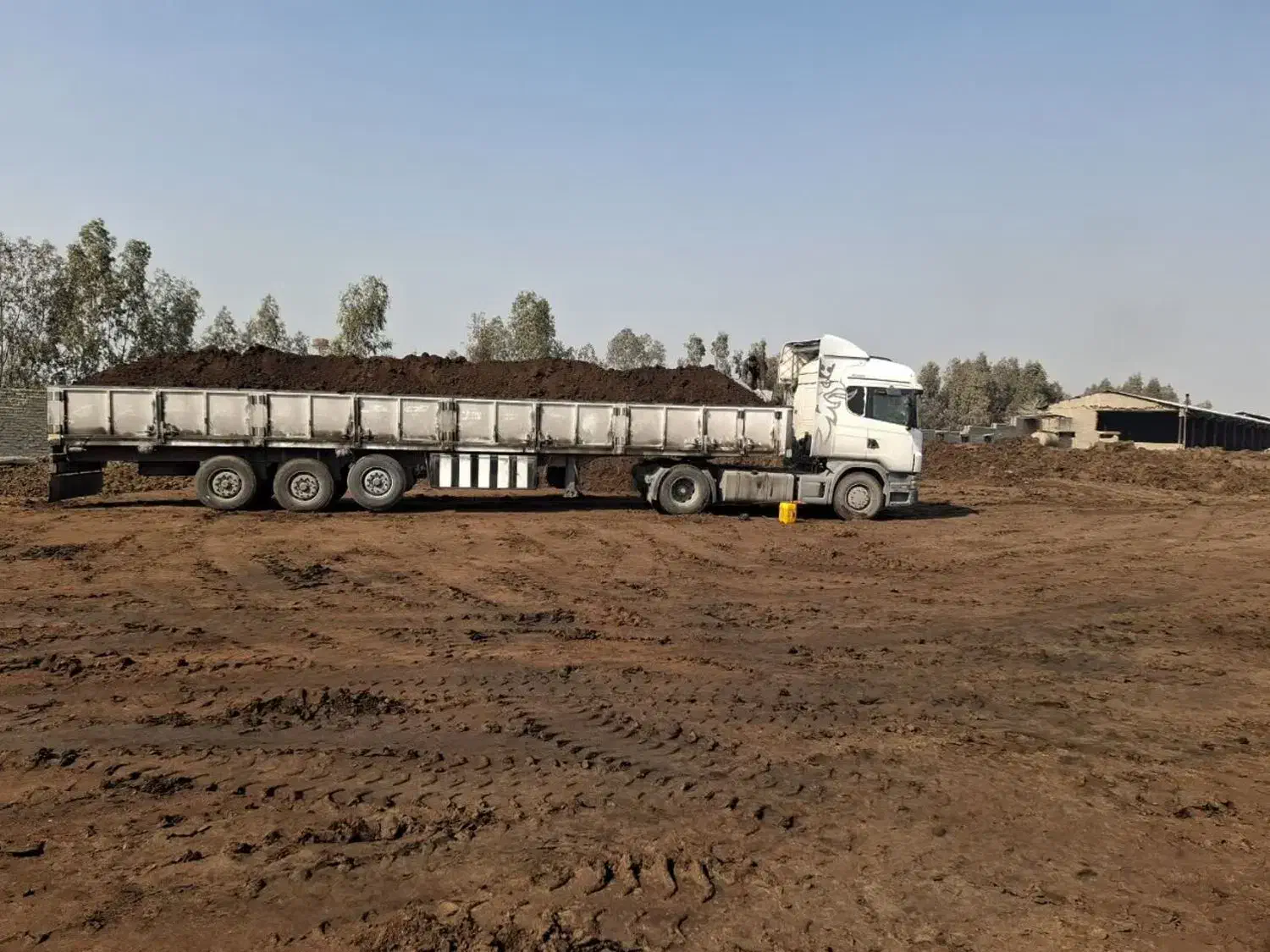 کود گاوی مرغوب تک و تریلی|خدمات باغبانی و درختکاری|بم, |دیوار