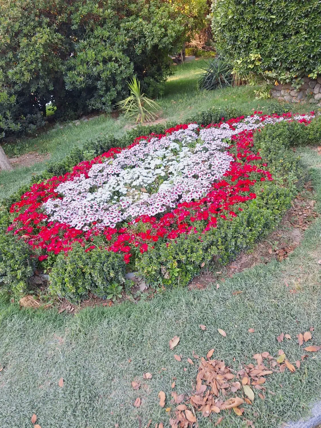 اشیاء پیدا شده|اشیا|برازجان, |دیوار