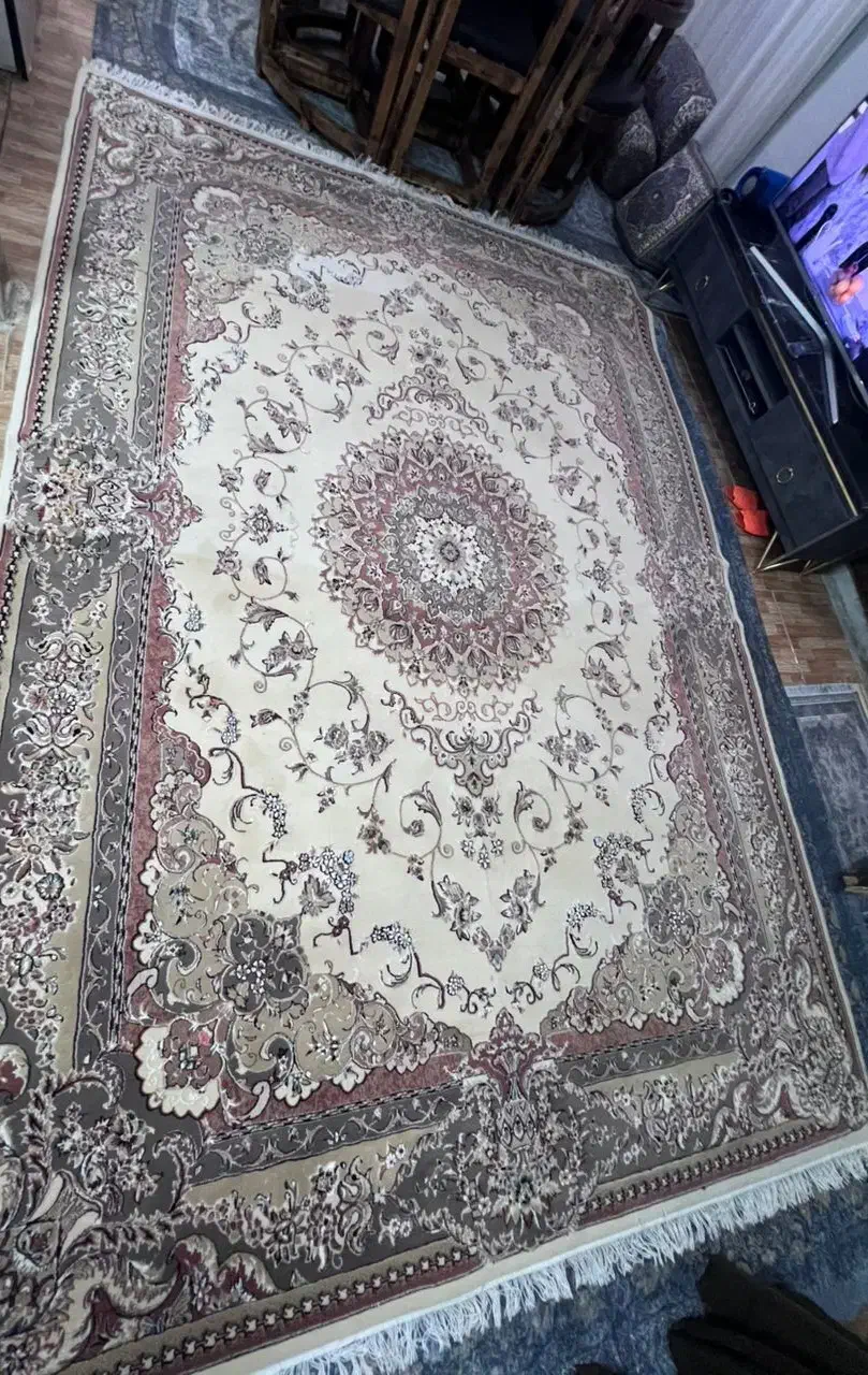 فرش ۹ متری پاتریس|فرش|باغستان, |دیوار