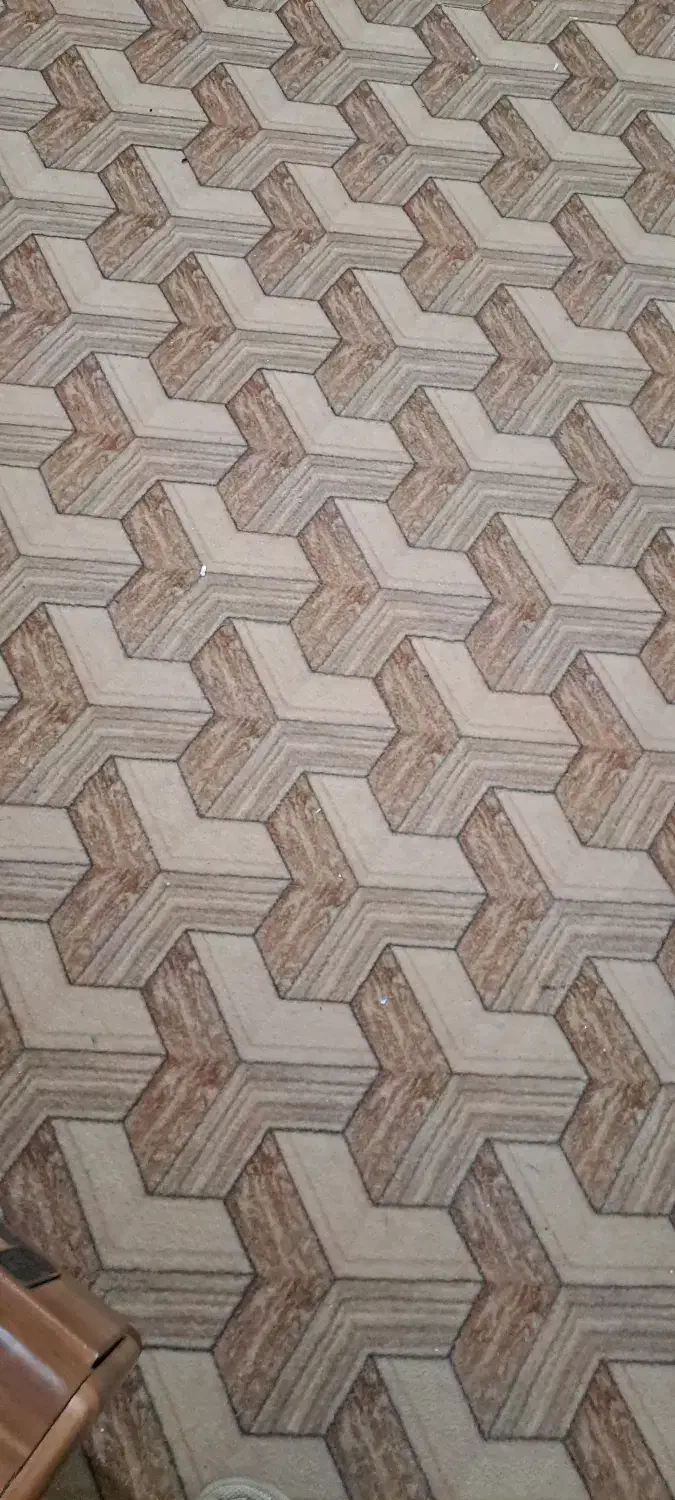 حدود ۱۰۰ متر موکت در حد نونو|موکت|شیراز, درکی|دیوار