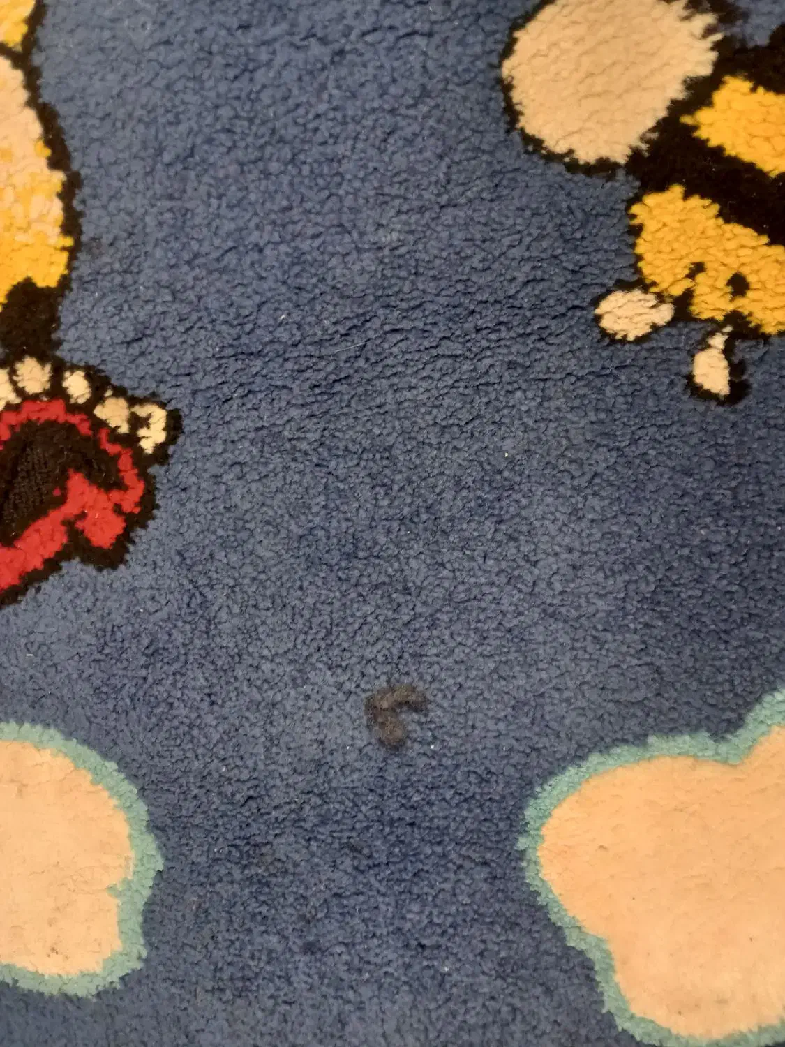 گلیم فرش|گلیم، جاجیم، گبه|همدان, |دیوار