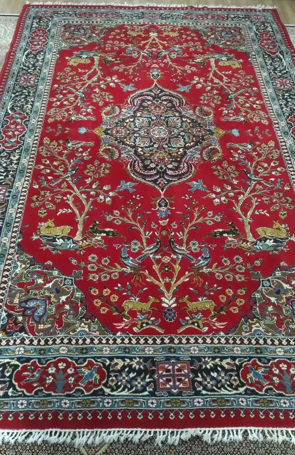 دو تخته فرش  6 متری|فرش|لاهیجان, حاجی آباد|دیوار