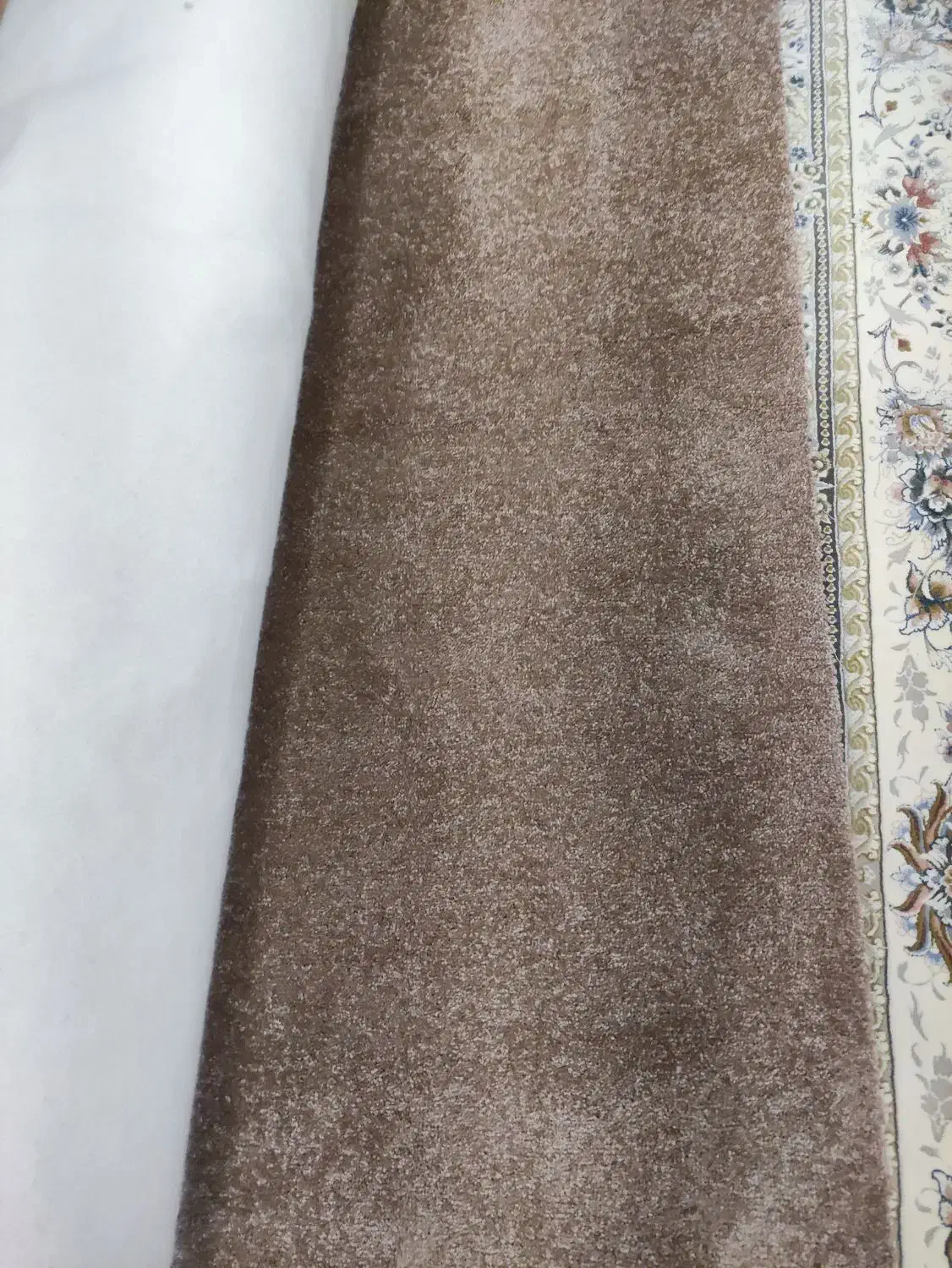 موکت پالاز موکت|موکت|مشهد, فرهنگ|دیوار