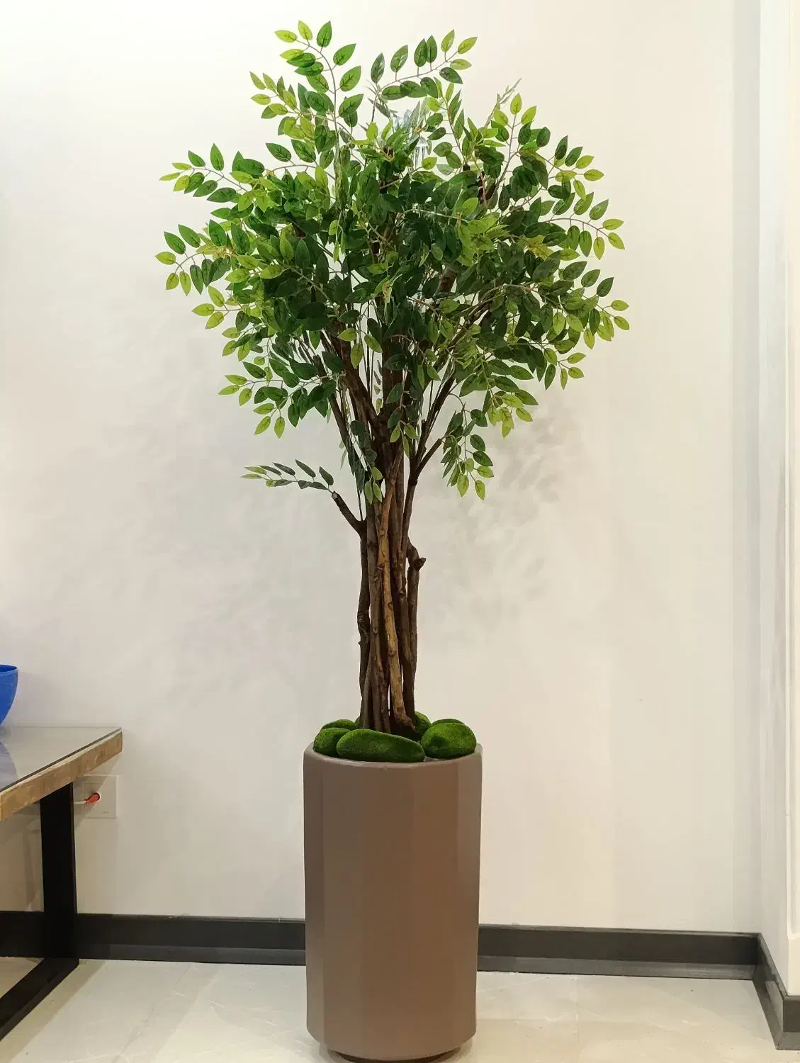 درختچه مصنوعی اقاقیا ، بامبو ، پولیشیاس درخت گل|گل مصنوعی|تهران, قصر فیروزه ۱|دیوار