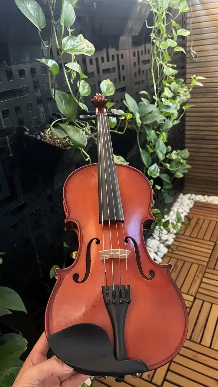 ویولون|ویولن|مشهد, فلسطین|دیوار