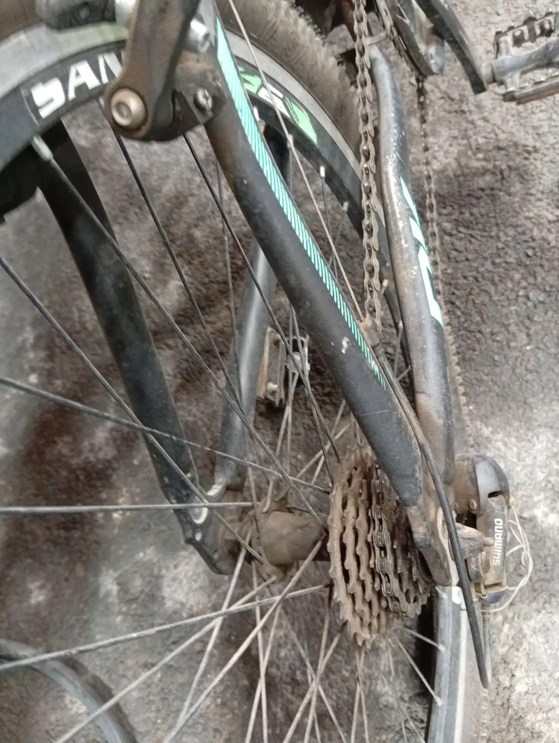 دوچرخه 26|دوچرخه، اسکیت، اسکوتر|اشکذر, |دیوار