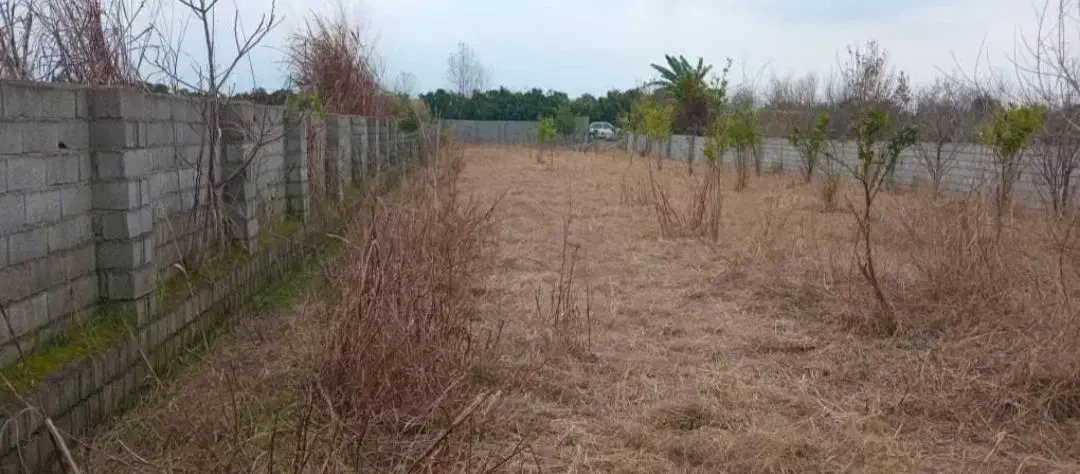 زمین باغی (ملک شخصی)|فروش زمین و ملک کلنگی|آمل, |دیوار