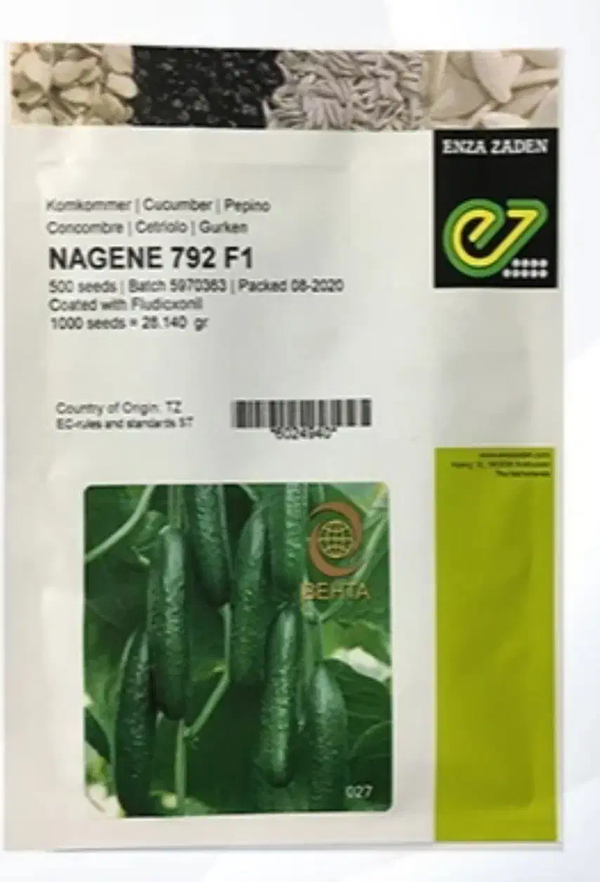 بذر خیار گلخانهای ناگین به تعداد محدود|حراج|اهر, |دیوار