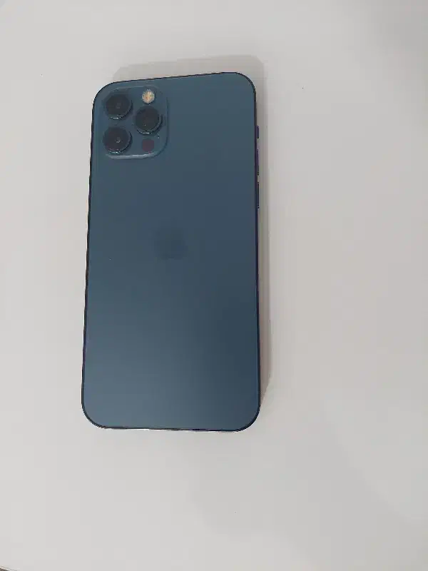 اپل آیفون ۱۲ پرو|موبایل|سهند, |دیوار