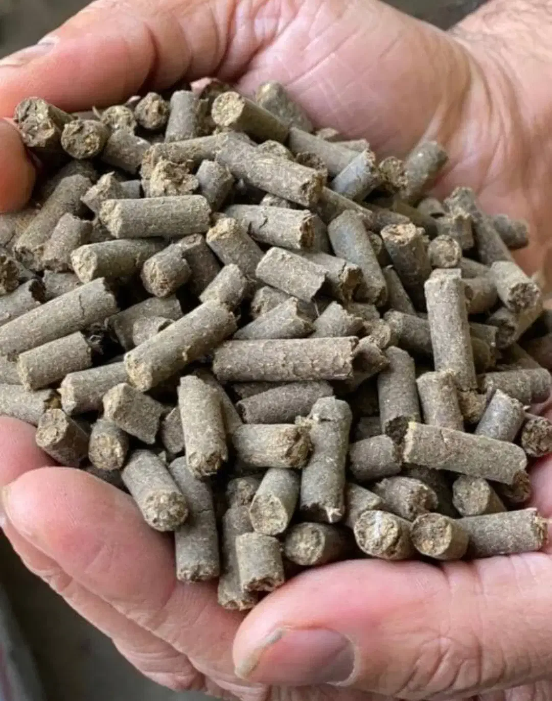 کود|لوازم جانبی حیوانات|اردبیل, |دیوار